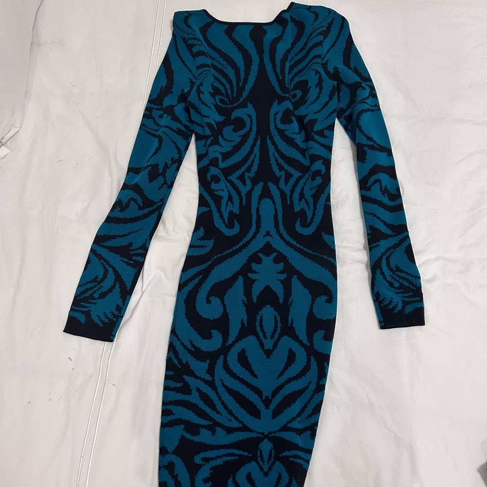 Torn by Ronny Kobo Dress